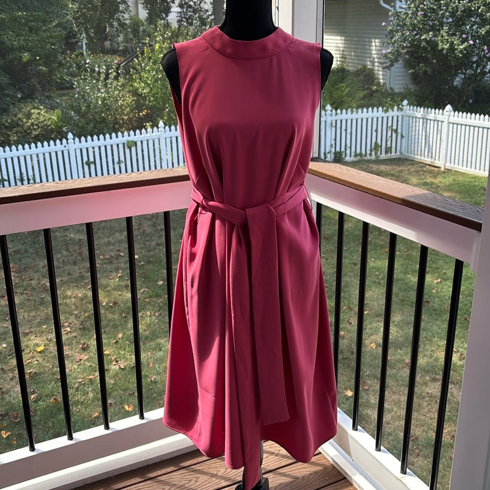 Ann Taylor Belted Dress